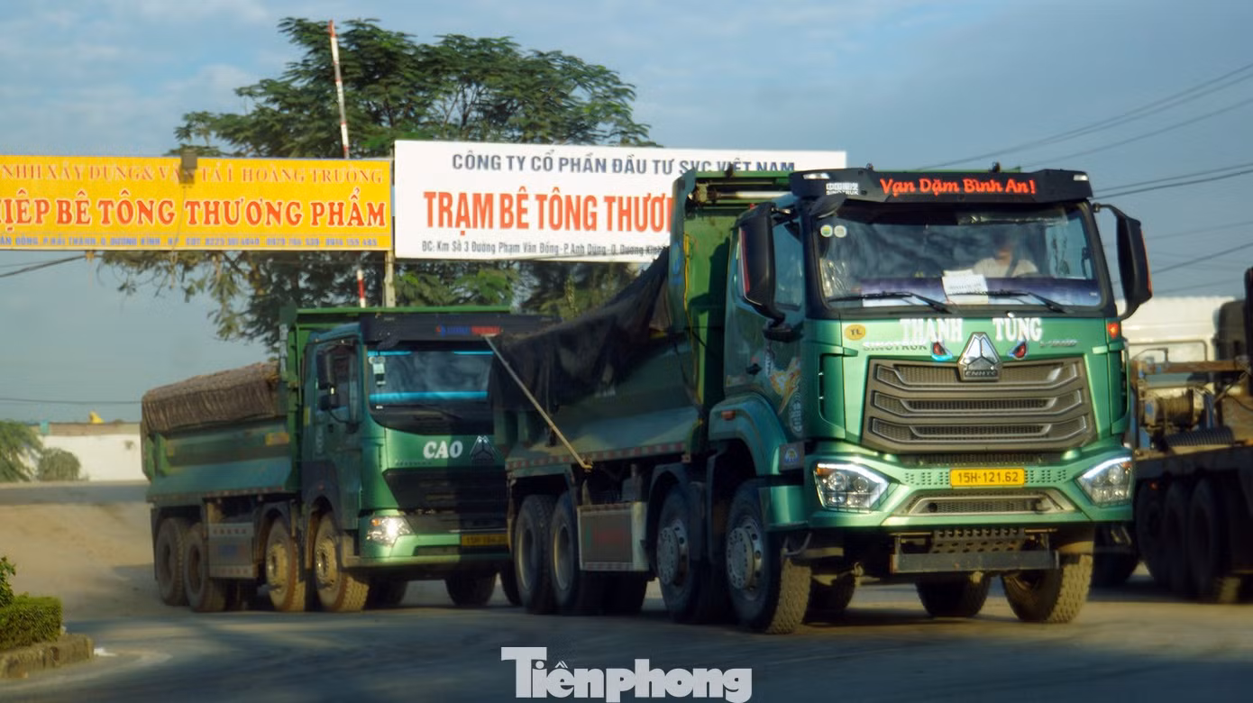 tp-bui-7.jpg