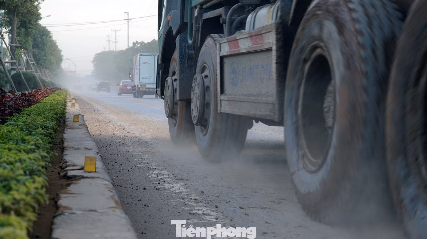 tp-bui-16.jpg