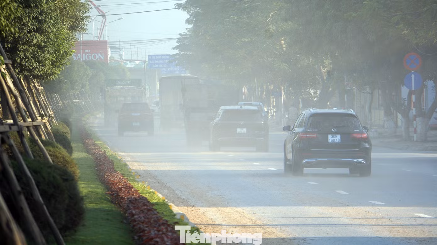 tp-bui-14.jpg