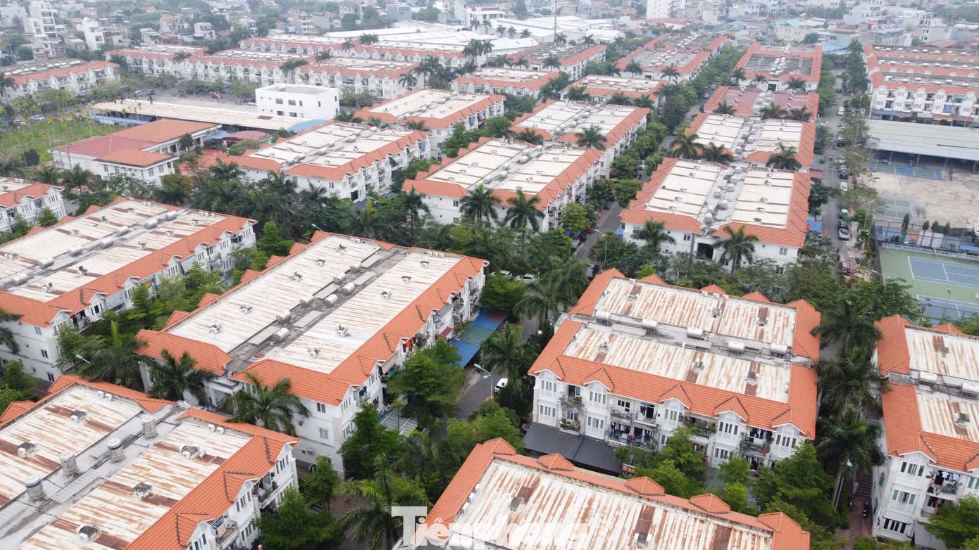 tp-noxh-12.jpg