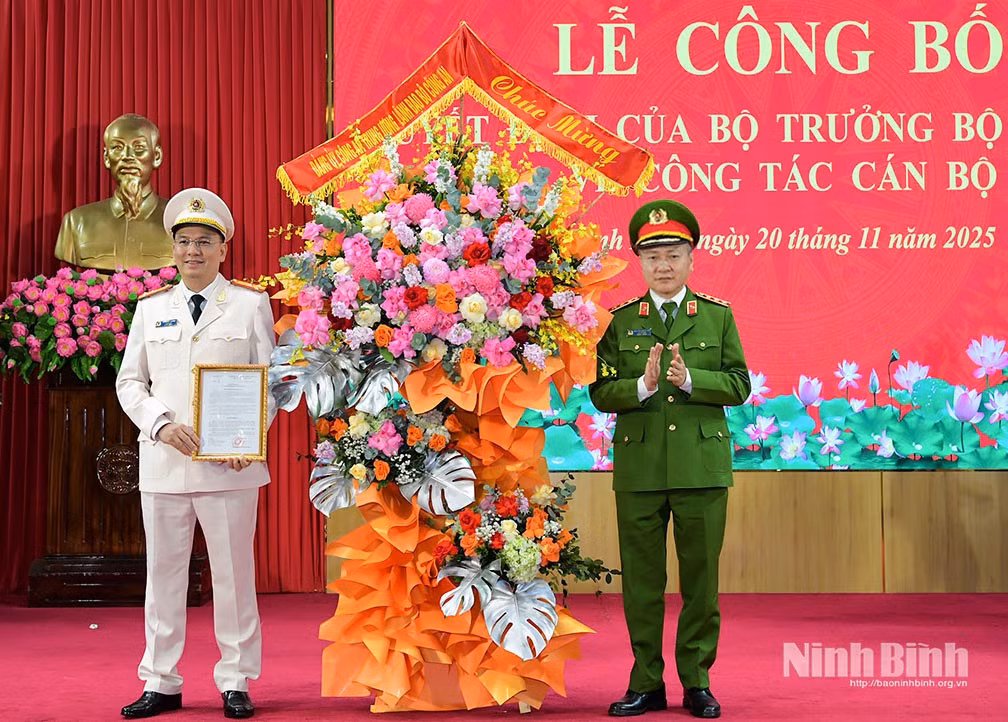 bnn.jpg