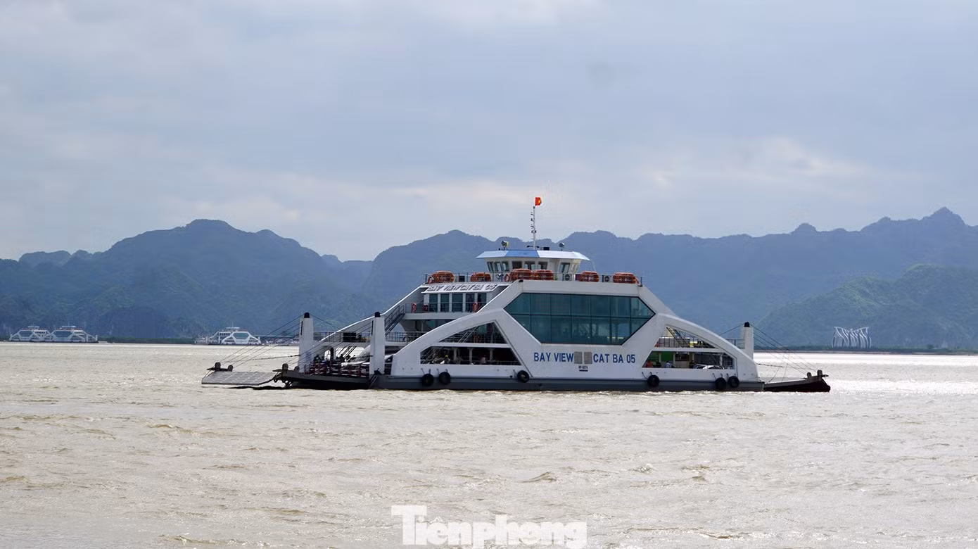 tp-dong-bai-1.jpg
