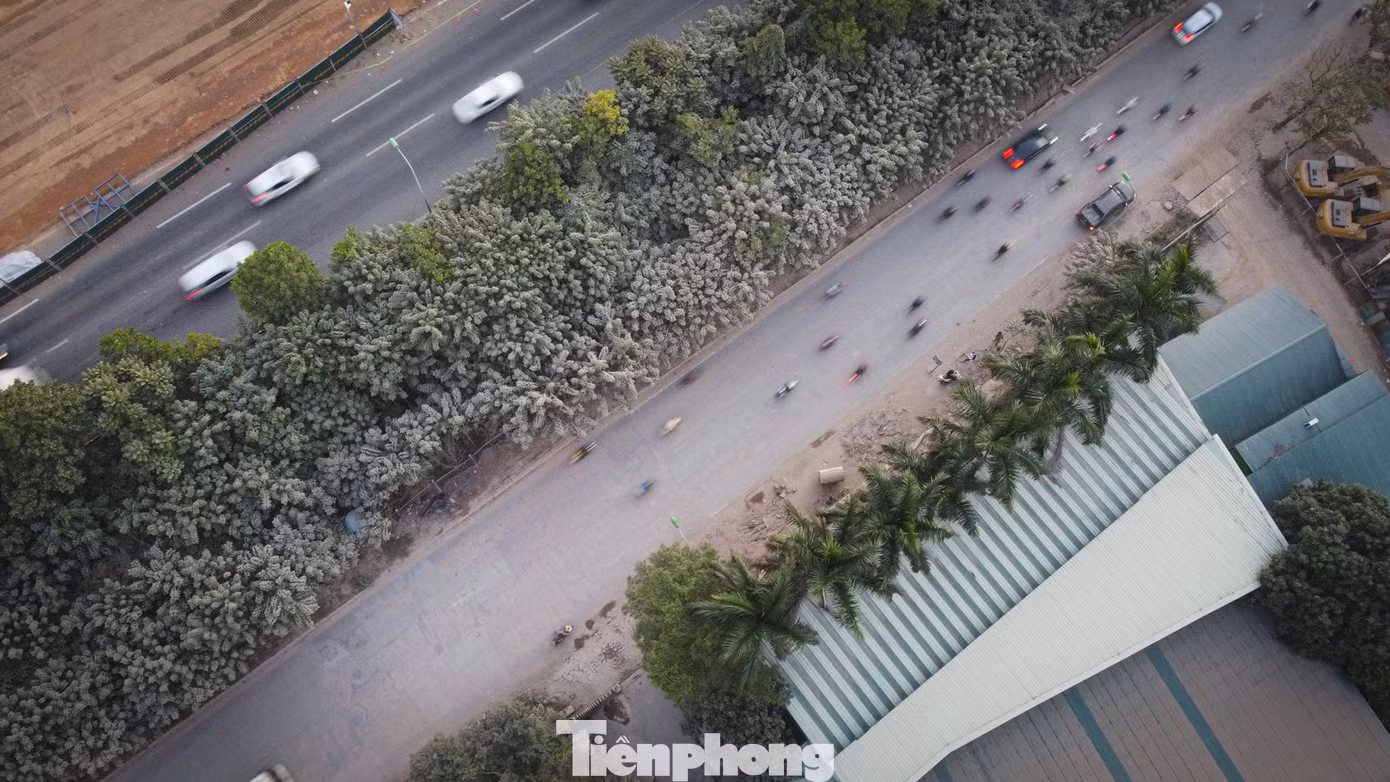 tp-linhtinh-17.jpg