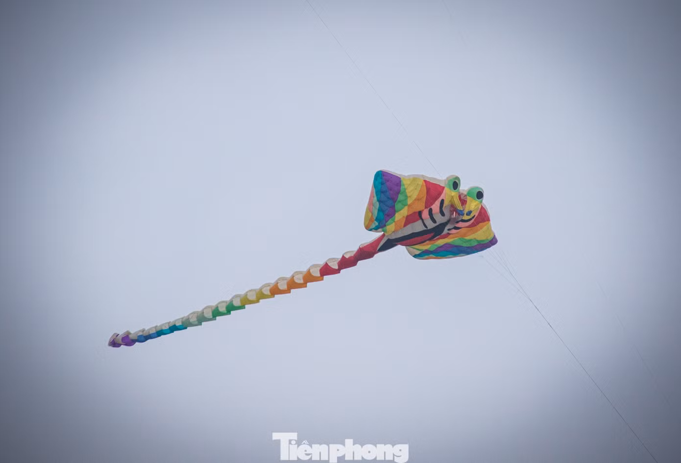 tp-thadieu-02.jpg