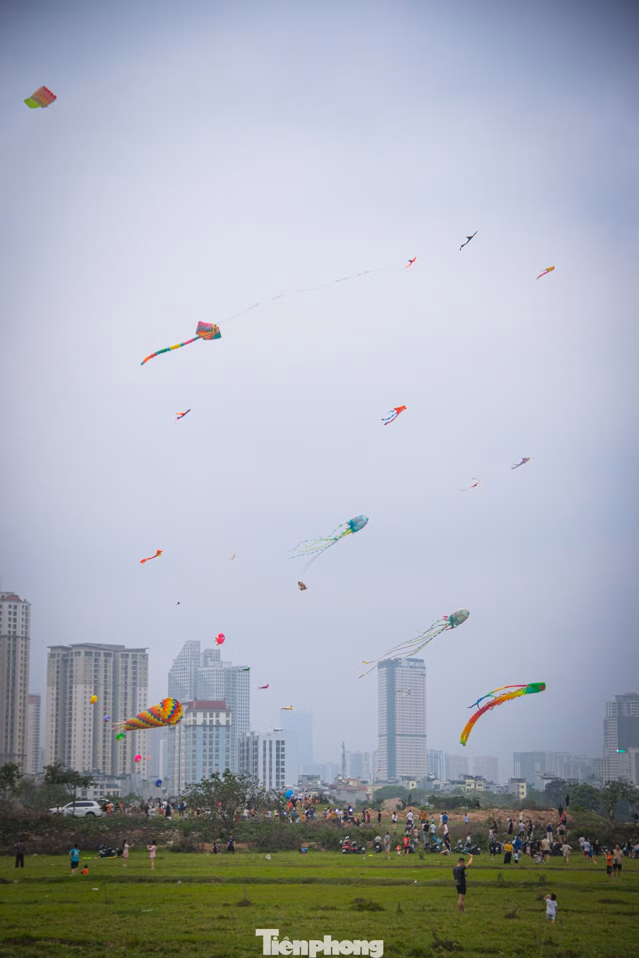 tp-thadieu-18.jpg