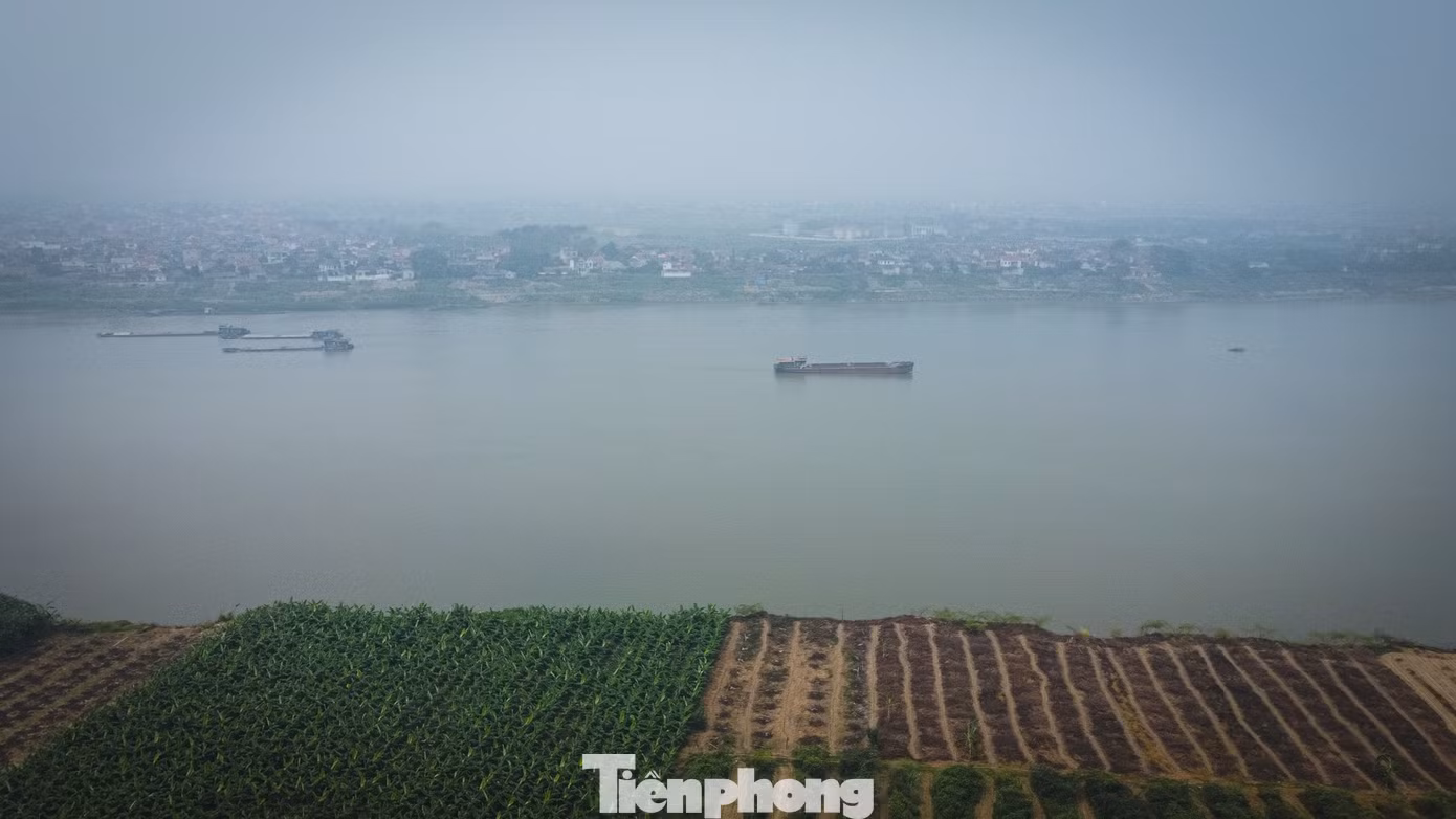 tp-mocat-18.jpg