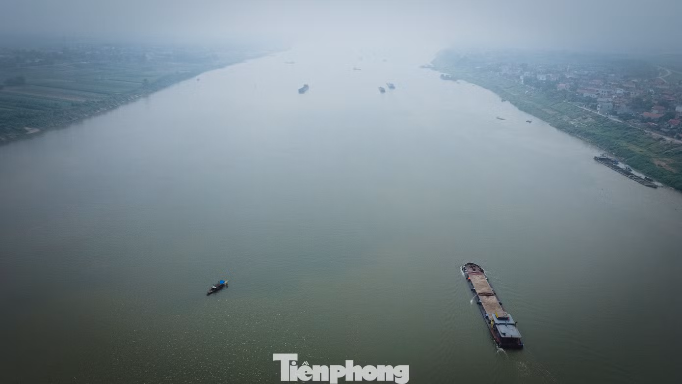 tp-mocat-07.jpg