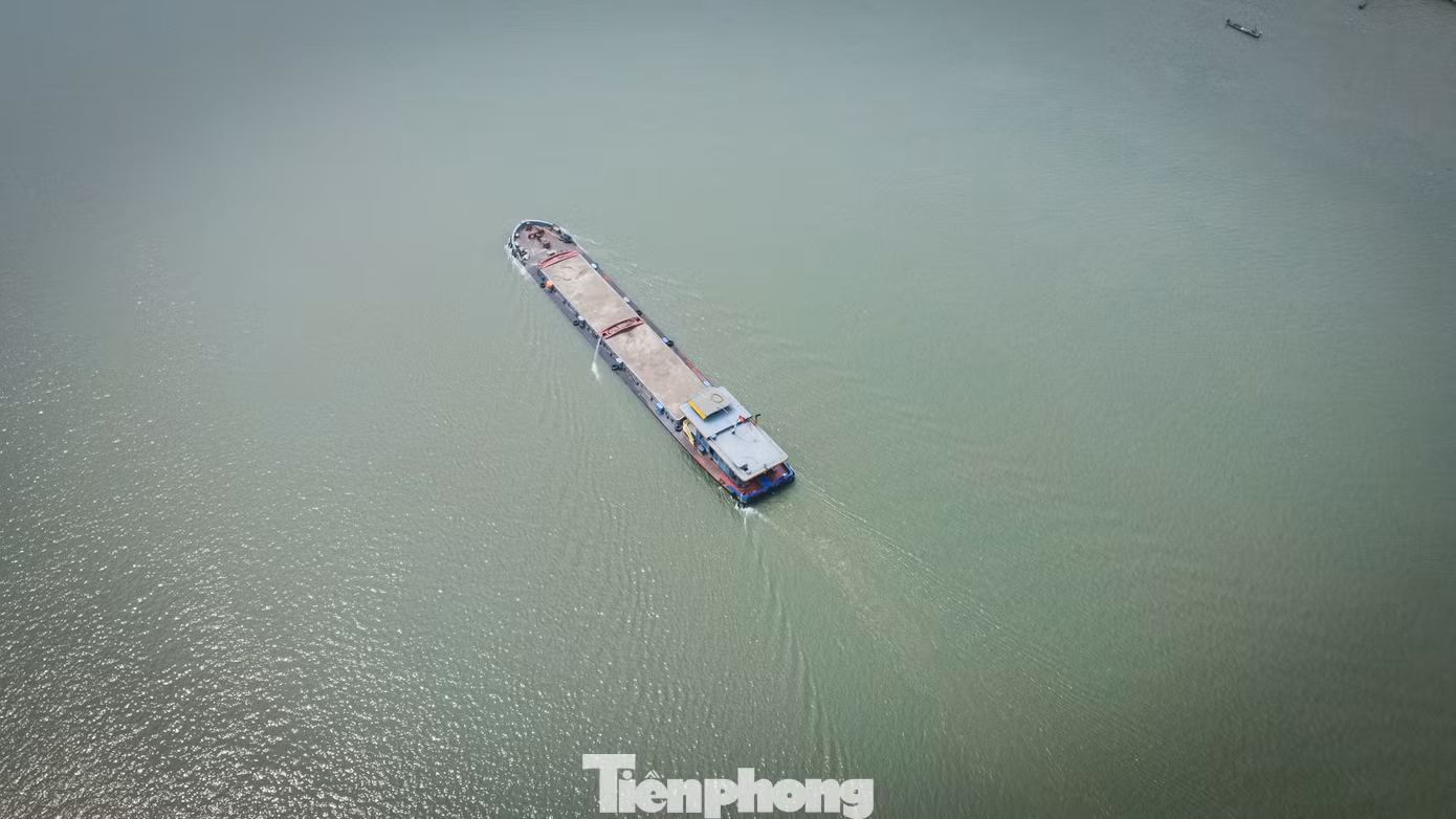tp-mocat-08.jpg