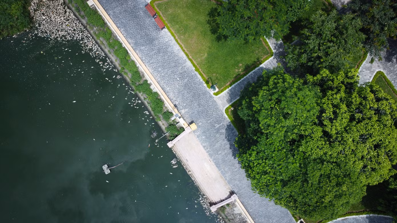 dji-0728.jpg