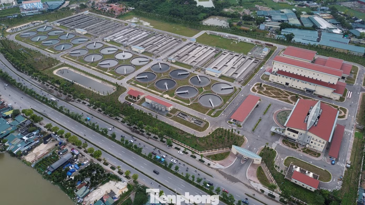 tp-10.jpg