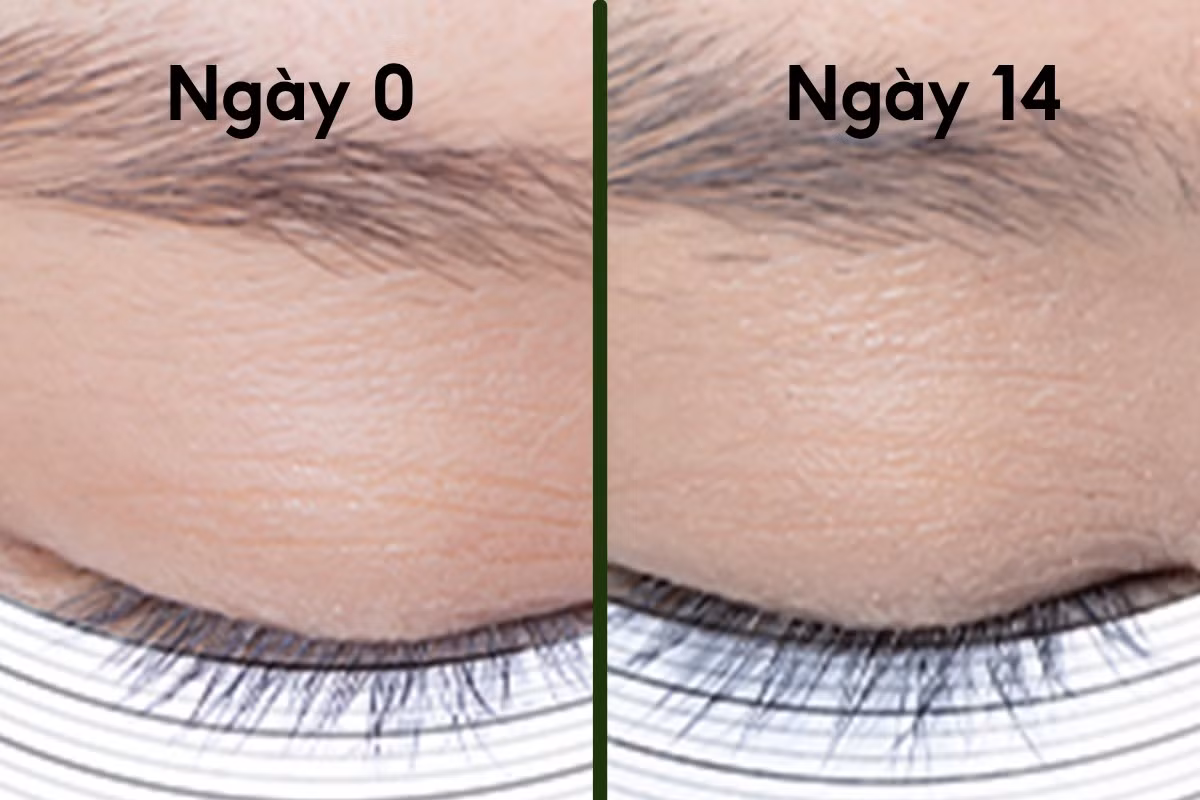 image005.png
