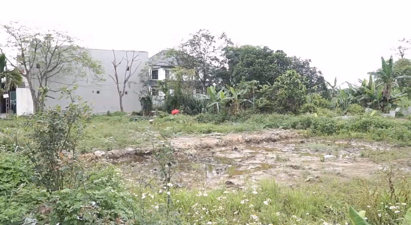 cai-tao-dat.jpg