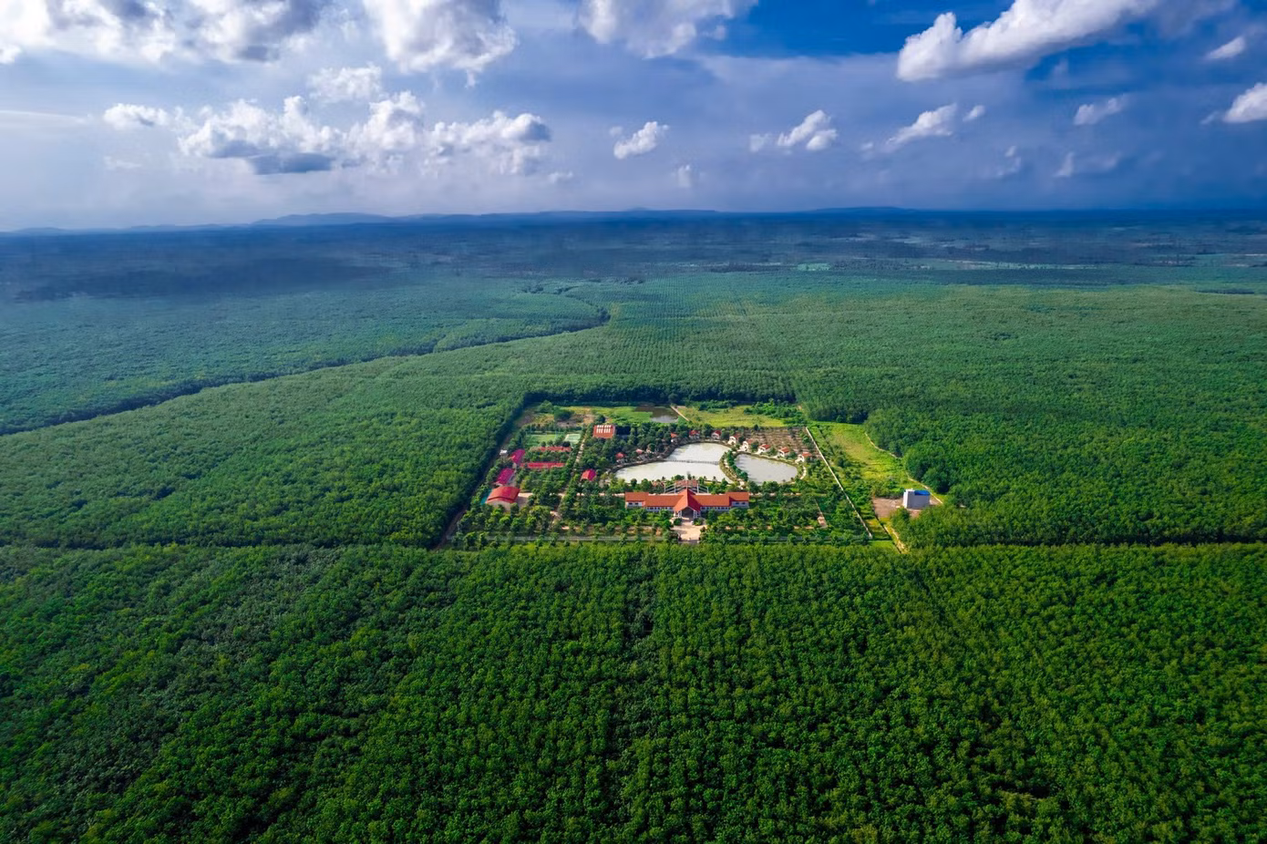 vuon-cay-cao-su-tai-campuhia.jpg