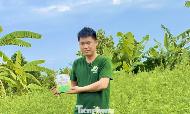 Một mô hình khởi nghiệp giảm nghèo bền vững, làm giàu tiêu biểu của thanh niên tỉnh Bắc Ninh.