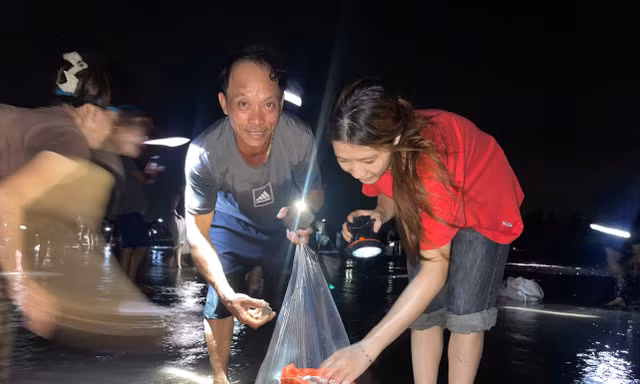 Ngao, sò đắp đống ở bờ biển Ninh Bình, người dân đổ xô đi bắt trong đêm