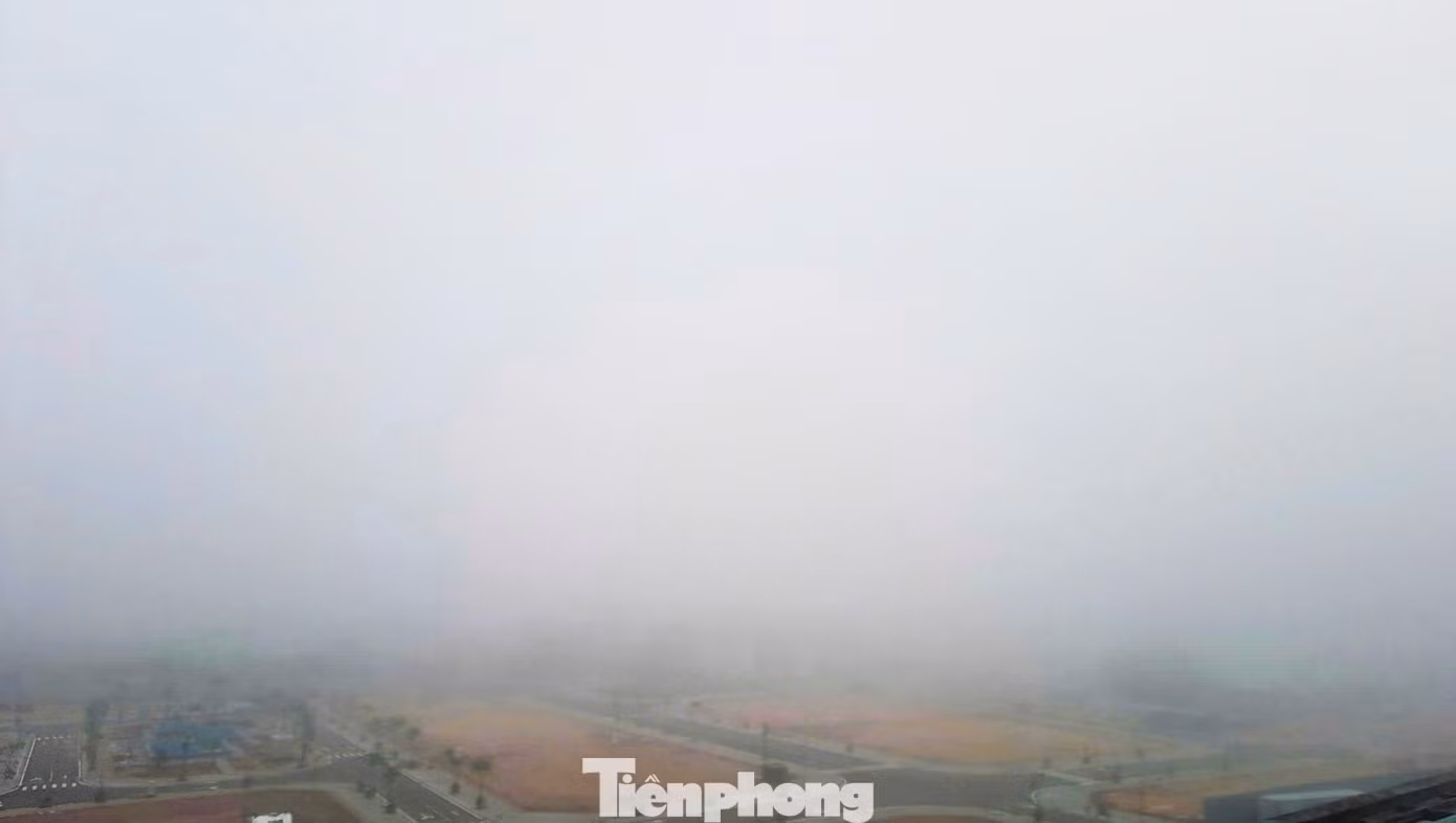 tp-3.jpg