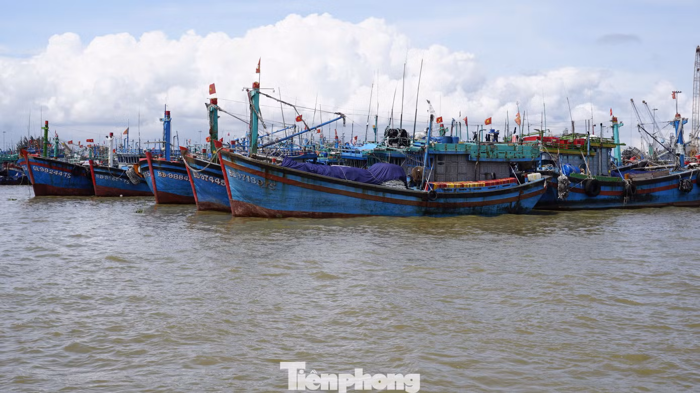 tp-3.jpg