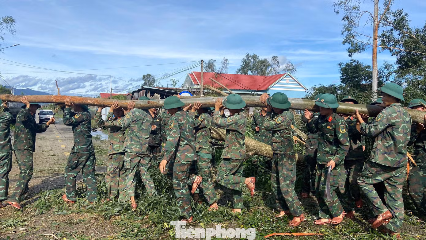 tp-2.jpg