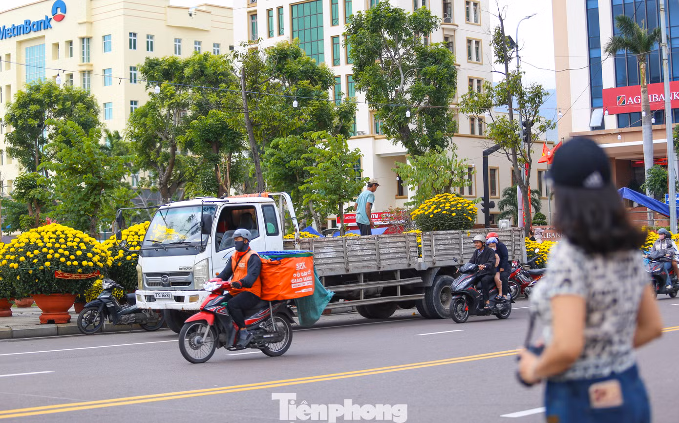 tp-c_img-5059.jpg