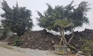 Dân khổ vì doanh nghiệp xây trường học ‘biến’ vỉa hè thành bãi rác