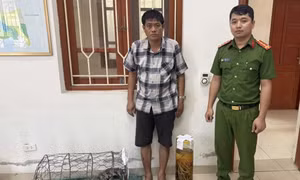 Ngâm rượu tay gấu, người đàn ông bị khởi tố