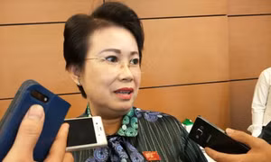 Khởi tố cựu Phó Bí thư Tỉnh ủy Đồng Nai Phan Thị Mỹ Thanh về tội ‘Nhận hối lộ’