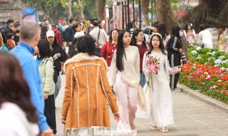 Một mét vuông có hàng chục nàng thơ
