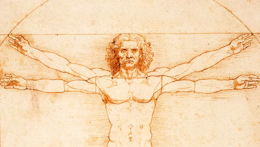 "Mạc treo" từng được mô tả cách đây hàng trăm năm bởi Leonardo da Vinci.