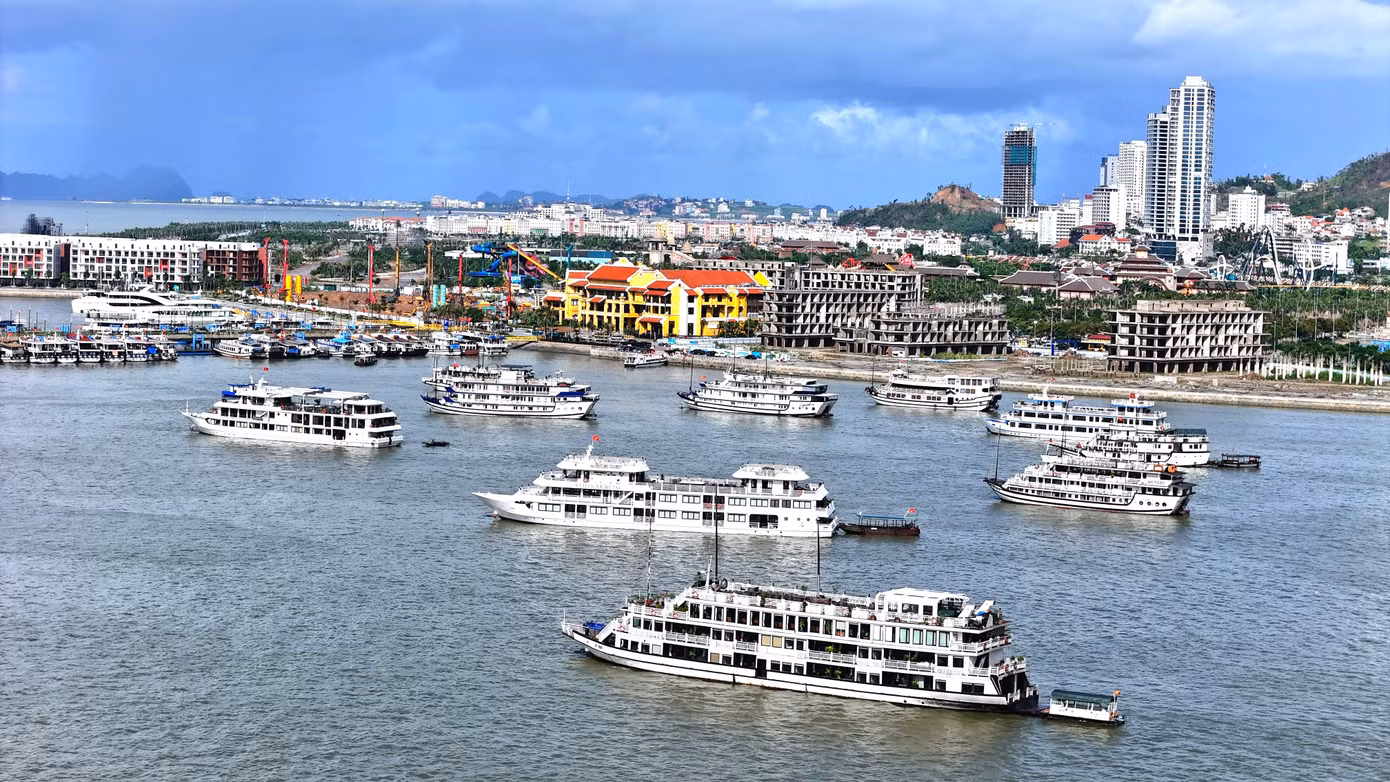 1000013558.jpg