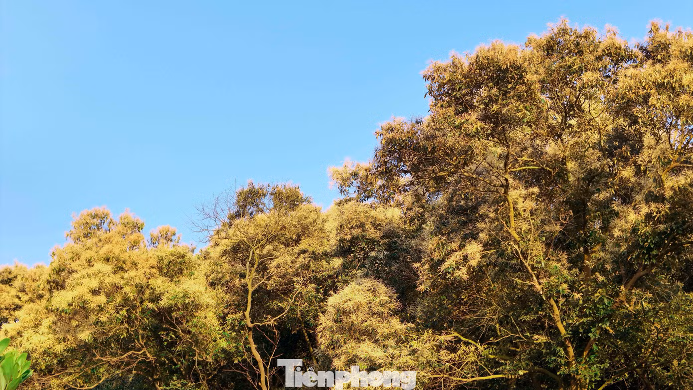 tp-0141.jpg