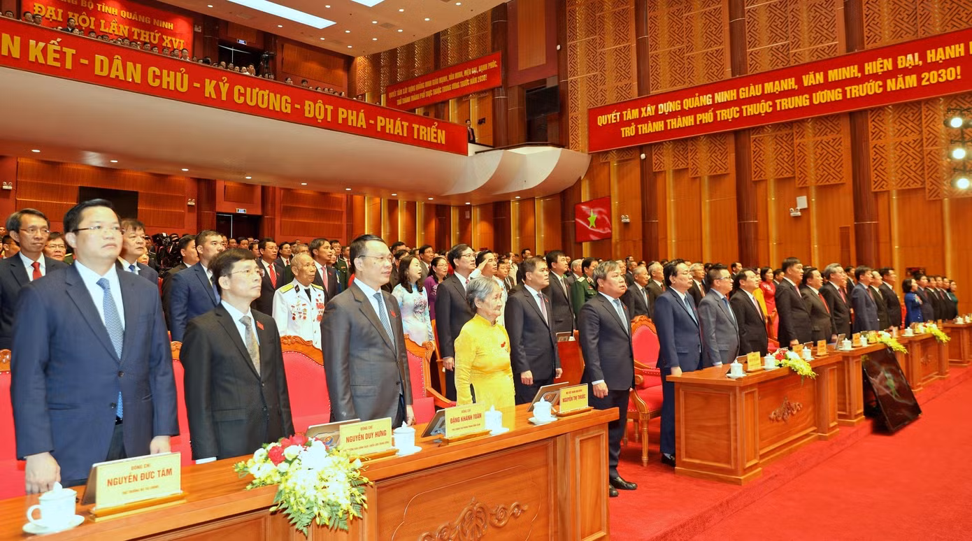 chao-co-1.jpg
