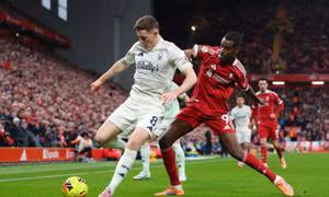 Đại bại 0-3 trước đội áp chót Ngoại hạng Anh, HLV Liverpool phân trần thế nào?