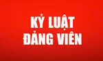Bộ Chính trị, Ban Bí thư xem xét, thi hành kỷ luật tổ chức đảng, đảng viên vi phạm