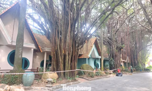 Cận cảnh hàng chục căn villa khu resort ở TPHCM bị phong tỏa vì nứt tường, sập trần