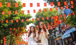 Check-in ‘con đường đỏ thắm’ ở Quy Nhơn Nam