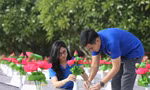 Những bông hoa Sen được các đoàn viên thanh niên thay thế tại nghĩa trang liệt sĩ Ba Dốc (Bố Trạch - Quảng Bình) được thay mới.