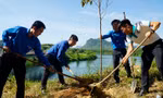 Trồng 6.300 cây xanh chống sạt lở, tạo cảnh quan tại các đền tưởng niệm liệt sĩ ở Quảng Bình