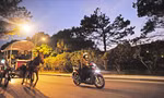 Ấn tượng những chuyến xe ngựa đêm xuân Đà Lạt 