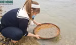 Đổ xô đi đào đá quý ở Yên Bái vì... tin đồn trên mạng