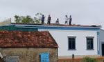 Lốc xoáy cuốn tốc nhiều mái nhà, hàng trăm cây xanh gãy đổ 