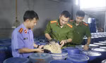Vụ 3.500 tấn giá đỗ 'ngậm' chất cấm: Ai chịu trách nhiệm?
