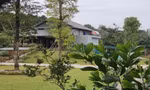 “Biệt phủ” xây dựng trên đất dự án nuôi trồng thủy sản