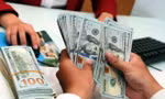 Tỷ giá USD 'loạn nhịp' - Có đáng lo?