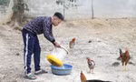 Cầu nối hoàn lương 
