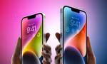 Đây là 5 điều mà người dùng nên biết nếu có ý định "chốt đơn" iPhone 14 Plus