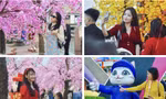 Người dân Đà Nẵng rạng rỡ check in đường hoa Xuân
