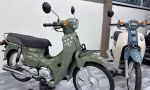 Honda Super Cub 110 2024 giá hơn 80 triệu đồng ở Việt Nam