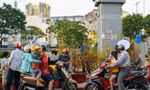 TPHCM sẽ mua lại hoa bị ế trong dịp Tết