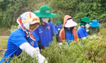 Thu hoạch nông sản cho người dân xứ Lạng. 