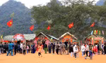 Khai mạc Lễ hội hoa đào 2023